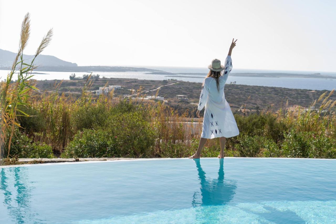 Anthemion Paros - Villas & Suites Agia Irini  エクステリア 写真
