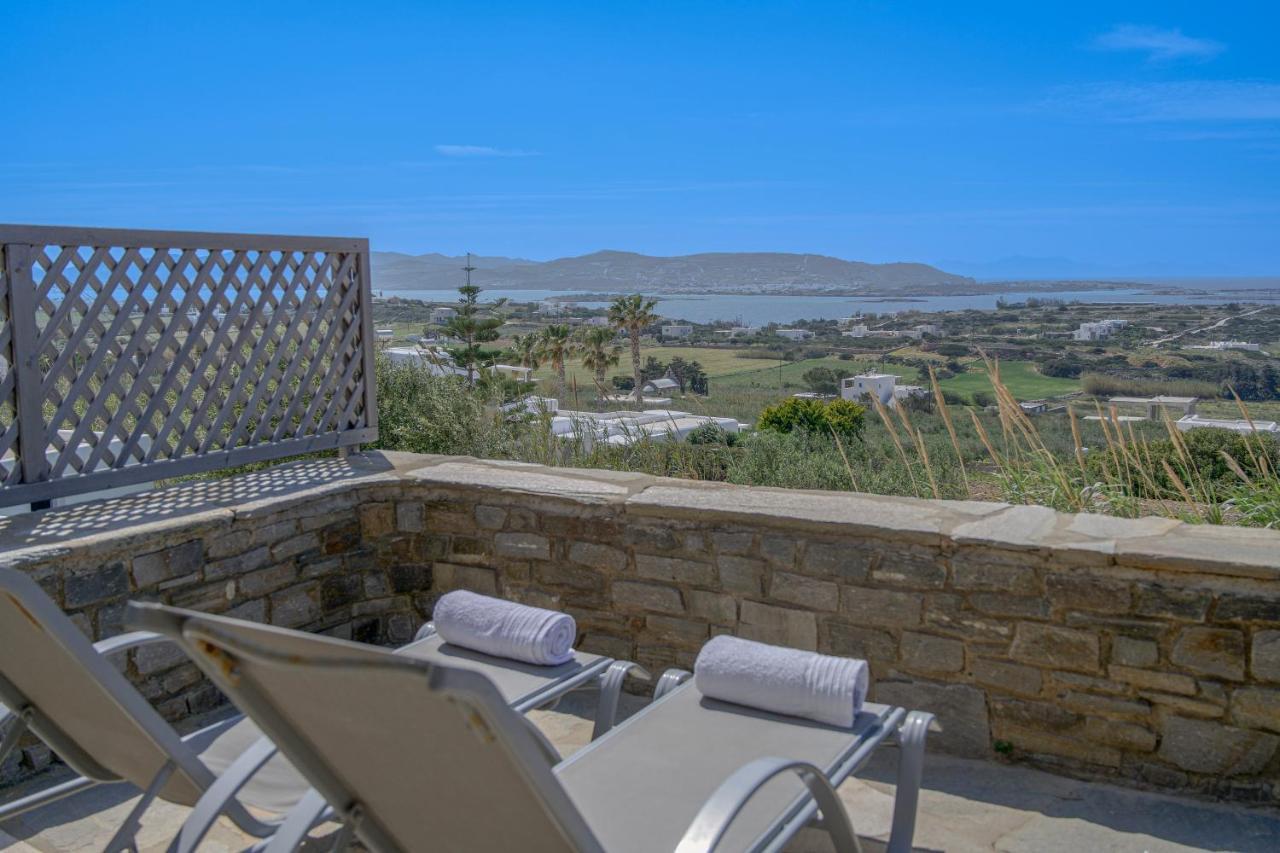 Anthemion Paros - Villas & Suites Agia Irini  エクステリア 写真